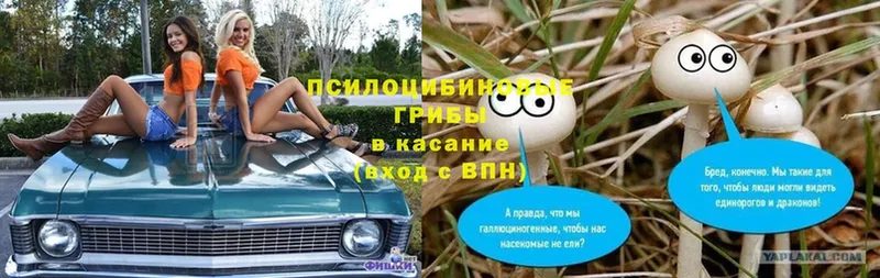 Псилоцибиновые грибы MAGIC MUSHROOMS  даркнет сайт  Алагир 